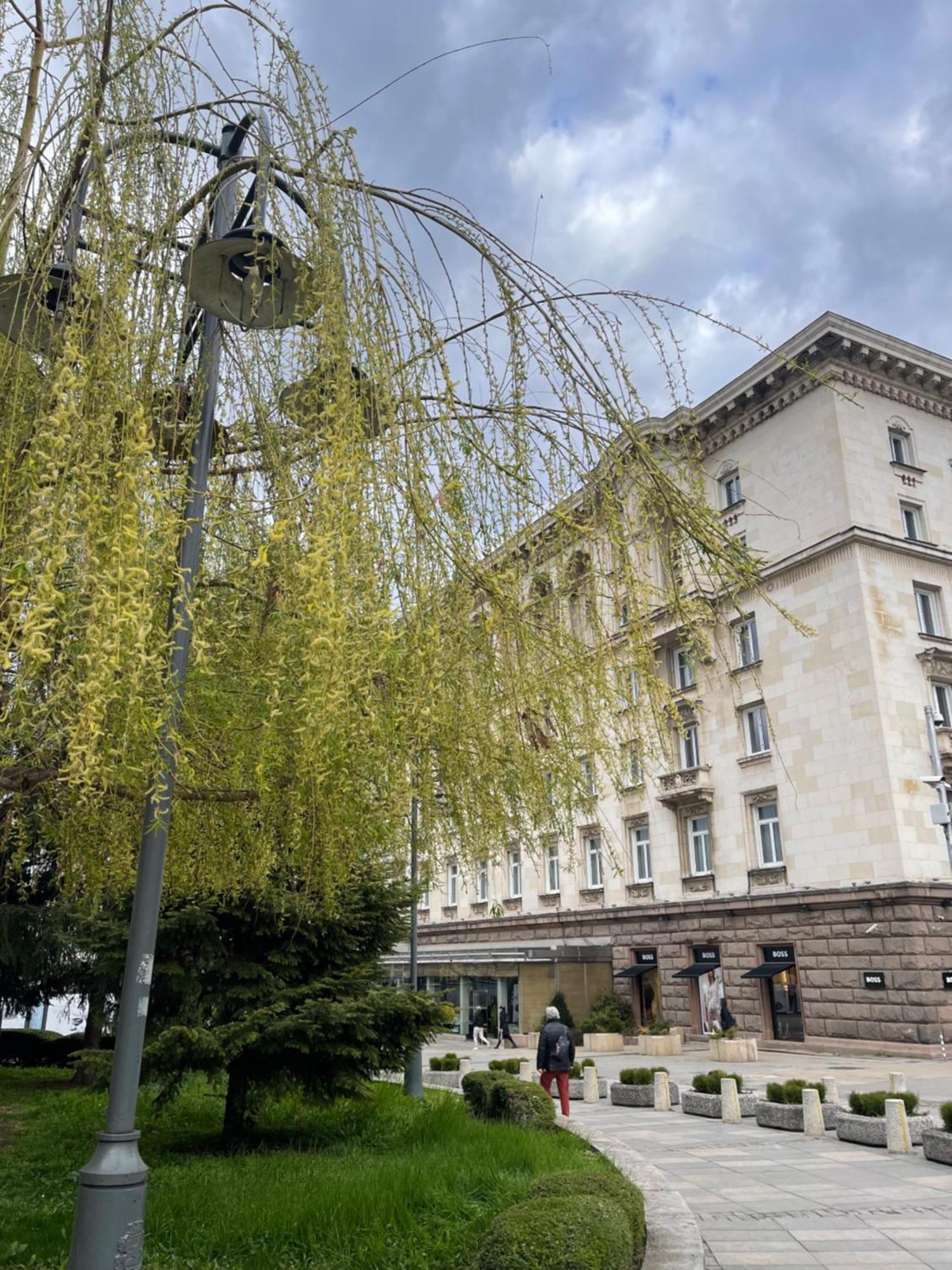 Sofia Balkan Palace Esterno foto The hotel in 2019